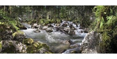Waldkalender – 100-jähriger Gebirgssturz am Klausbach