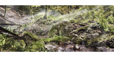 Waldkalender – Hexennest, Schlucht bei Hinterwössen im Chiemgau